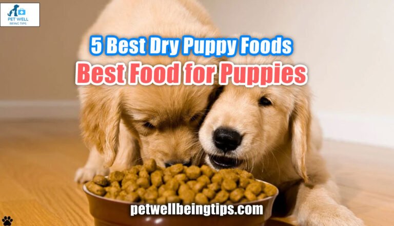 5 Best Dry Puppy Foods- Best Food for Puppies