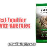 5 Best Food for Cats With Allergies