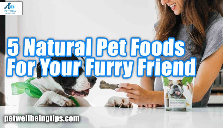 5 Natural Pet Foods For Your Furry Friend