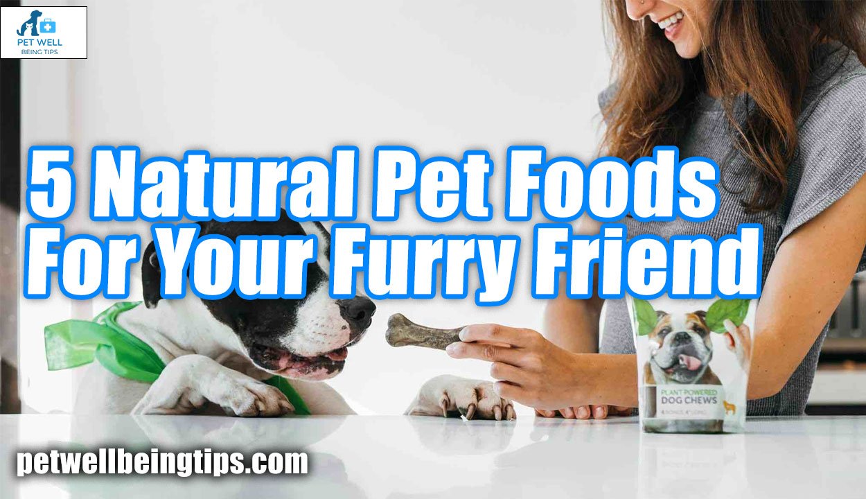 5 Natural Pet Foods For Your Furry Friend