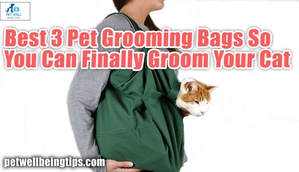 Best 3 Pet Grooming Bags So You Can Finally Groom Your Cat
