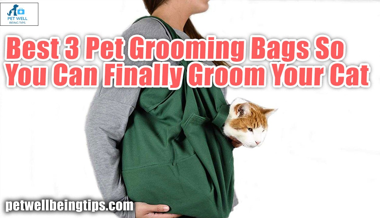 Best 3 Pet Grooming Bags So You Can Finally Groom Your Cat