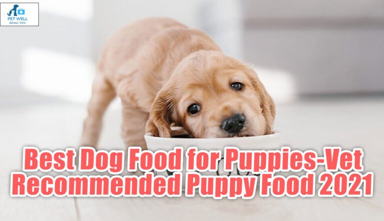 Best Dog Food for Puppies-Vet Recommended Puppy Food 2021