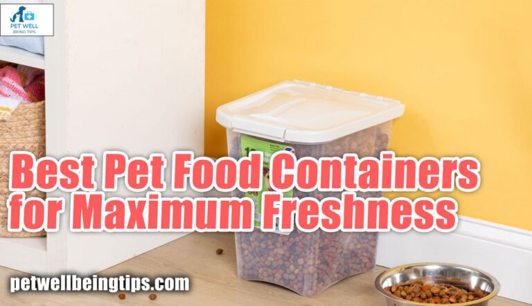 Best Pet Food Containers for Maximum Freshness