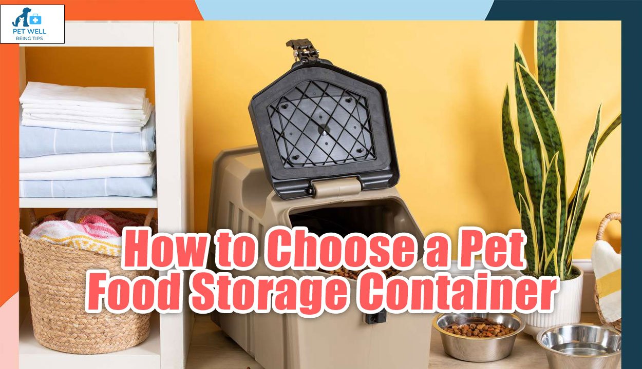 How to Choose a Pet Food Storage Container