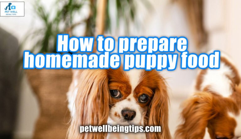 How to prepare homemade puppy food- Homemade Puppy Food, number 2 is super easy