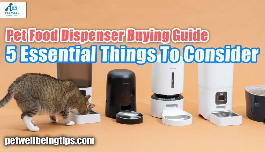Pet Food Dispenser Buying Guide: 5 Essential Things To Consider