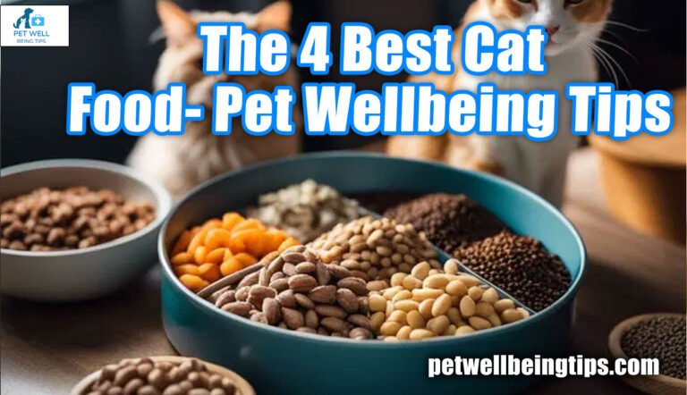The 4 Best Cat Food- Pet Wellbeing Tips