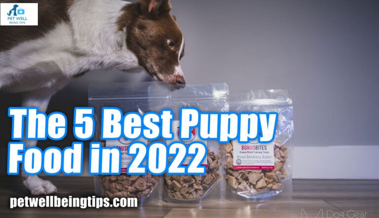 The 5 Best Puppy Food in 2022