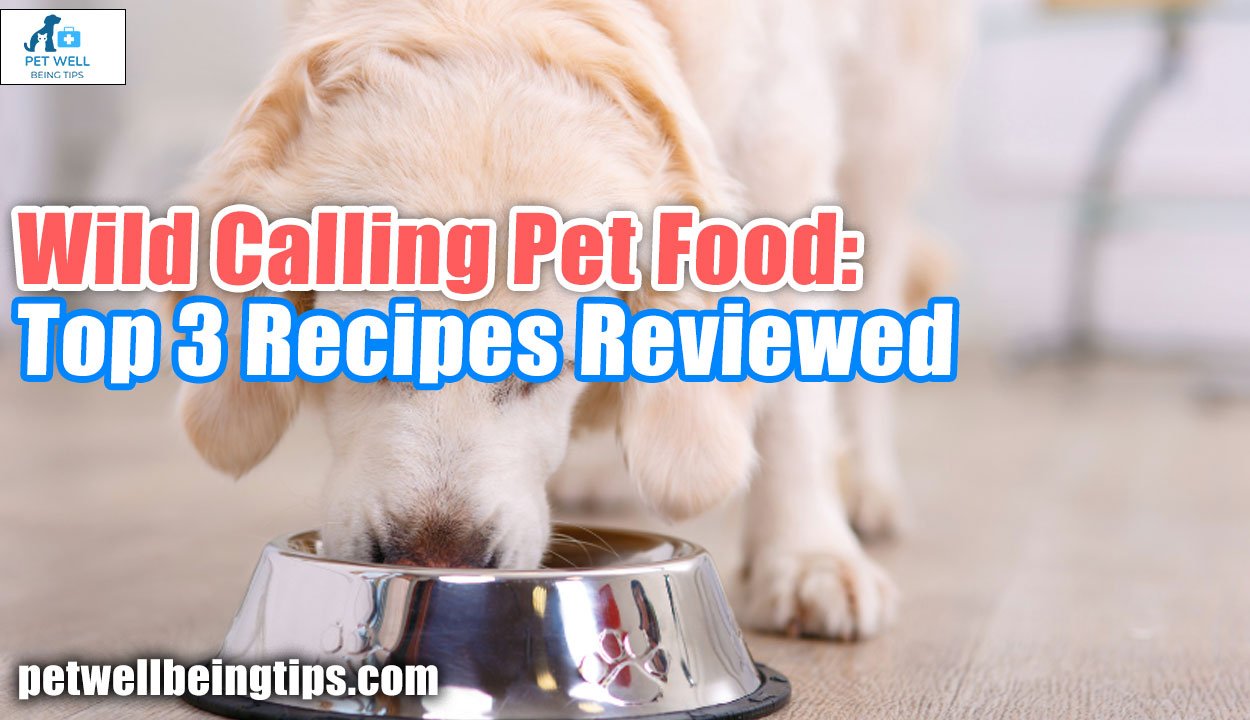 Wild Calling Pet Food: Top 3 Recipes Reviewed