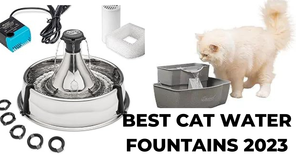 7 Best Stainless steel cat water Fountains for 2023 Tried and tested