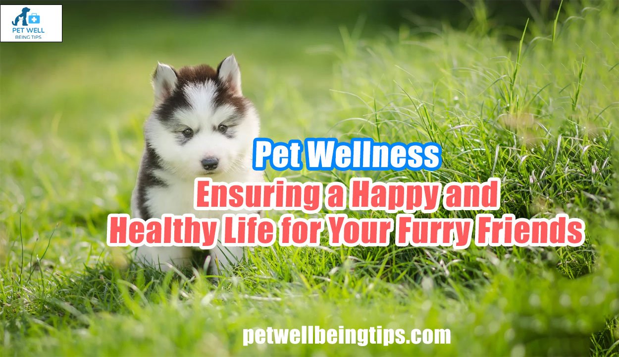 Pet Wellness: Ensuring a Happy and Healthy Life for Your Furry Friends