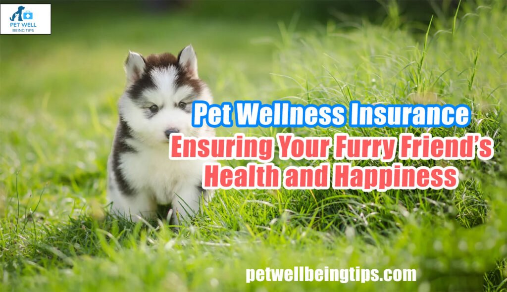 Pet Wellness Insurance: Ensuring Your Furry Friend’s Health and Happiness