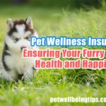 Pet Wellness Insurance: Ensuring Your Furry Friend’s Health and Happiness